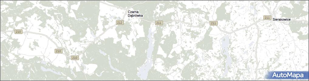 Kłosy